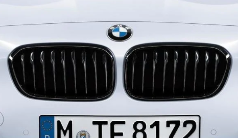 BMW sorte nyre - OUTLET
